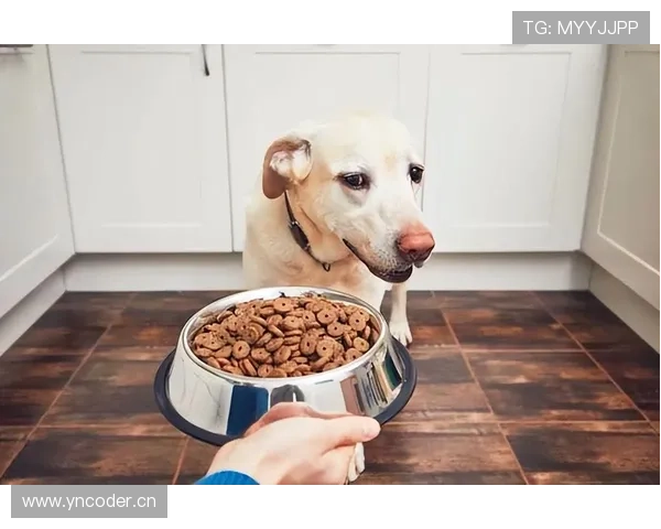 贝林厄姆家冰箱里塞满蛋白粉，连狗粮都是定制低脂的